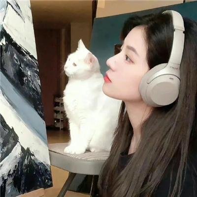 彩凤云裳高清封面